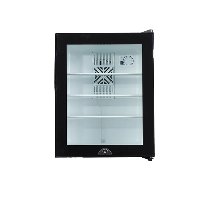 Wine Beer Mini Fridge - Mini refrigerador refrigerador 40L puerta de